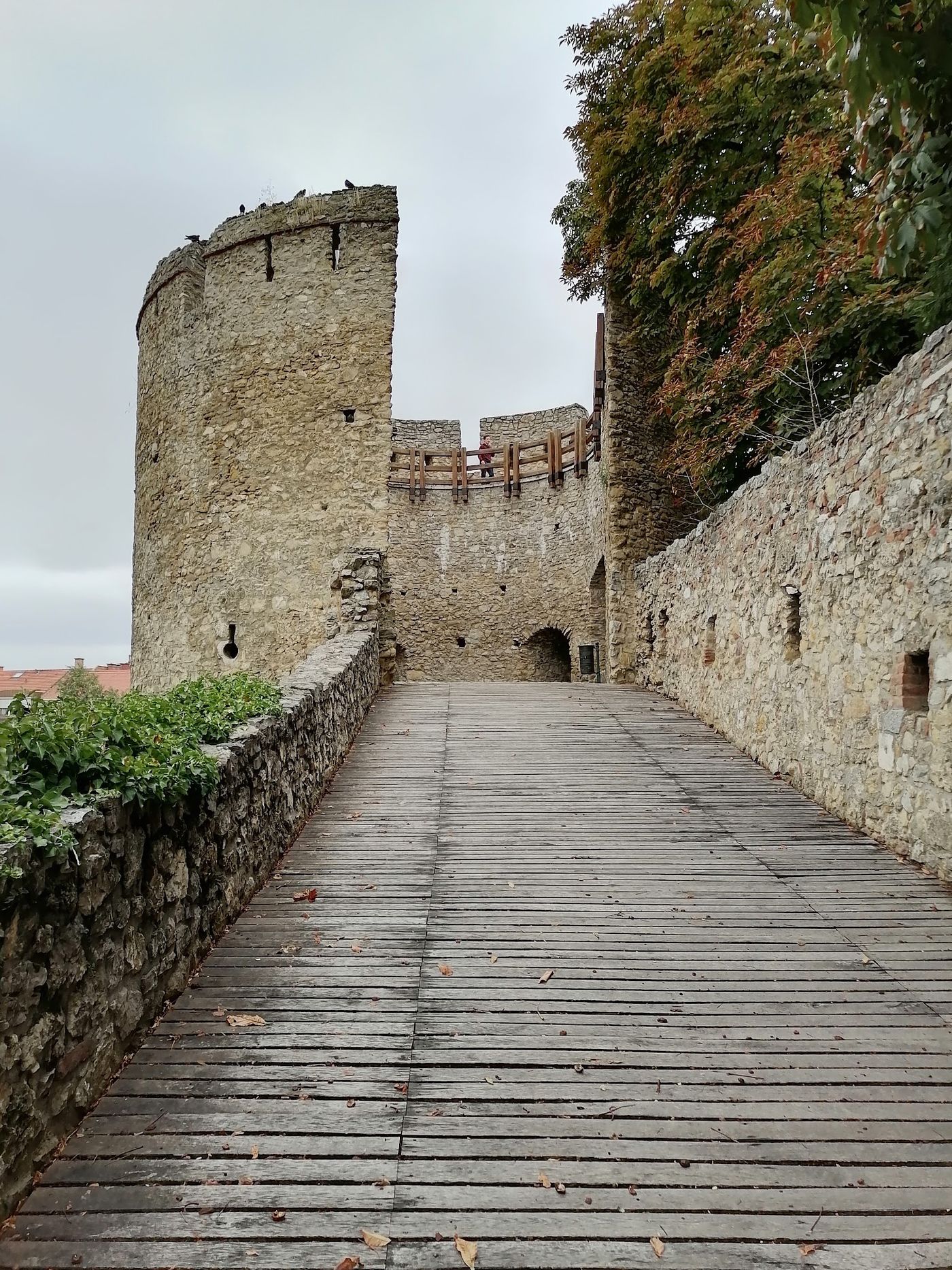Mittelalterliche Festung mit Aussicht