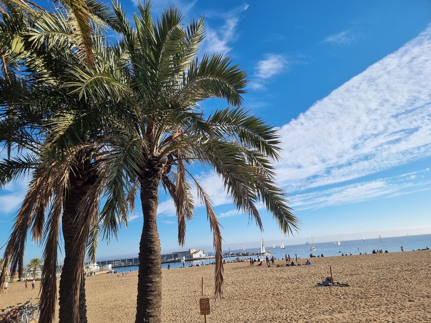 Exklusive Partynächte an Barcelonas Strandpromenade