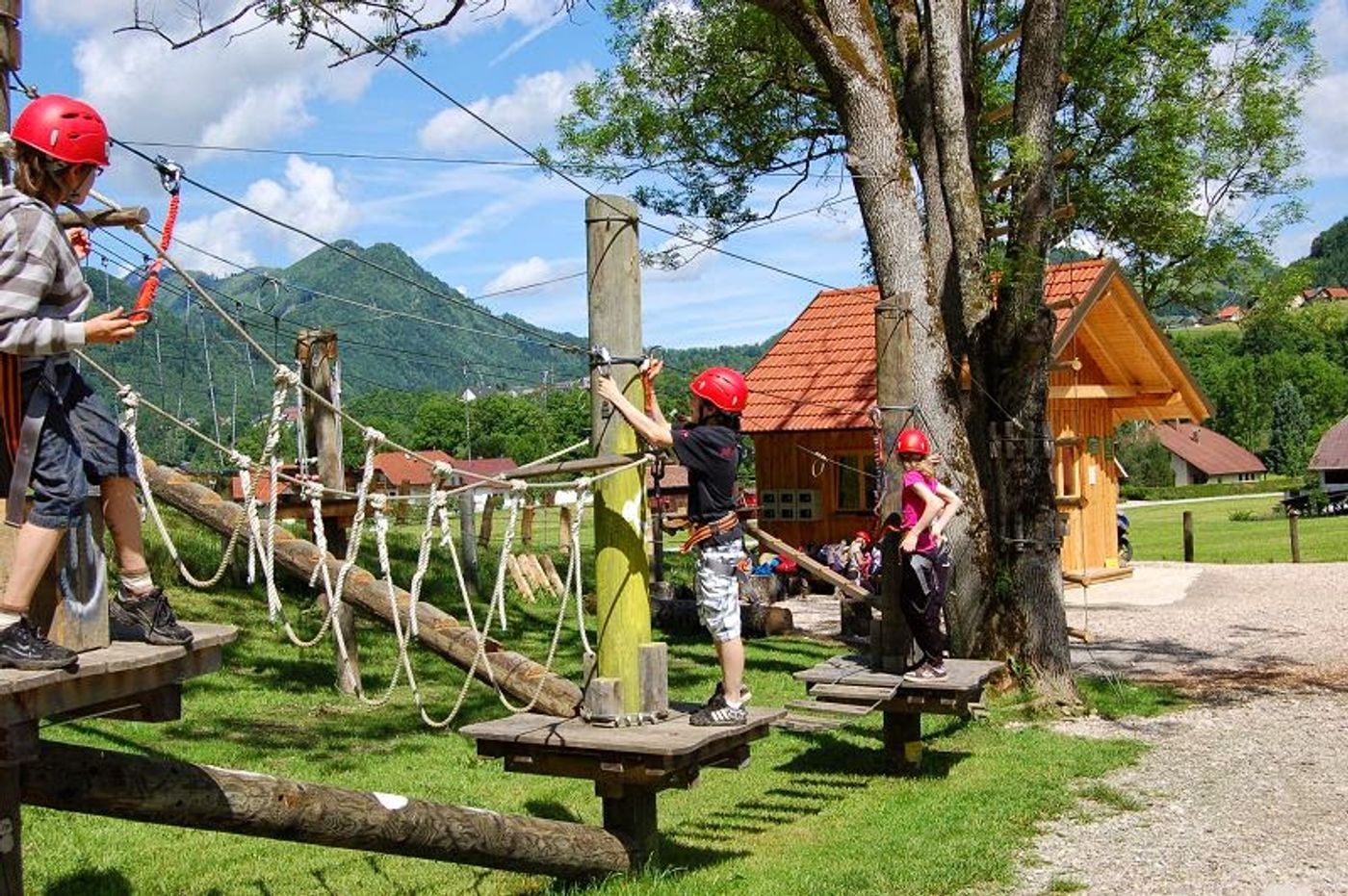 Hoch hinaus im Waldabenteuer: Kletterspaß für die ganze Familie