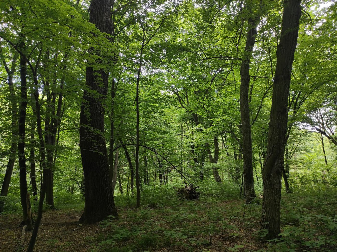 Entspannen & Entdecken in Kyivs grüner Oase