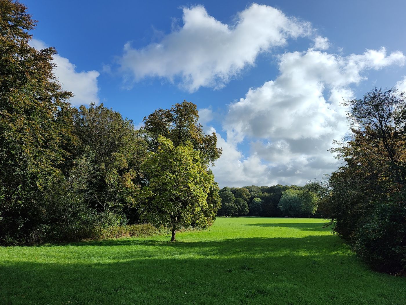 Perfekter Ort für ein Familienpicknick