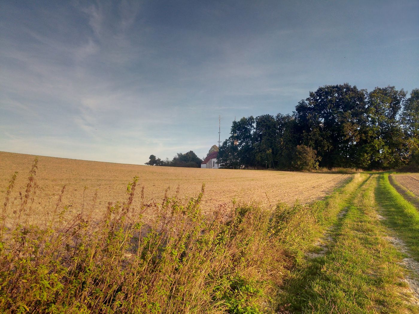 Open-Air Genuss unter Sternen