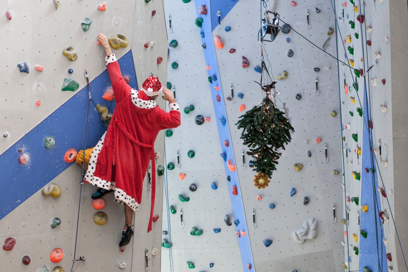 high-rope-fun-adventure