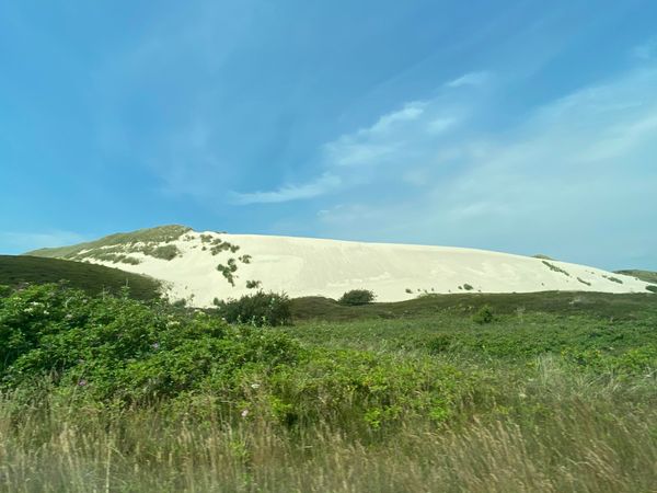 Bewegende Naturwunder auf Sylt
