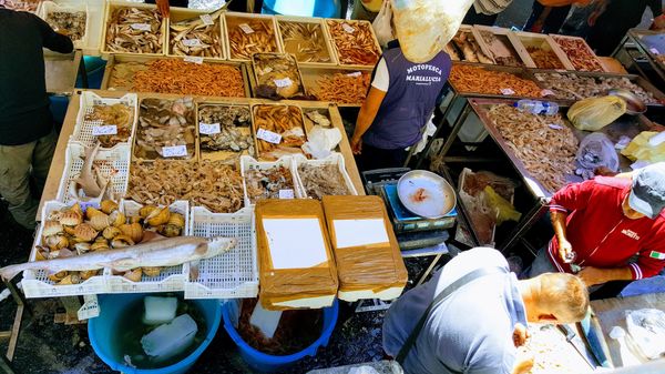 Buntes Treiben im Fischmarkt