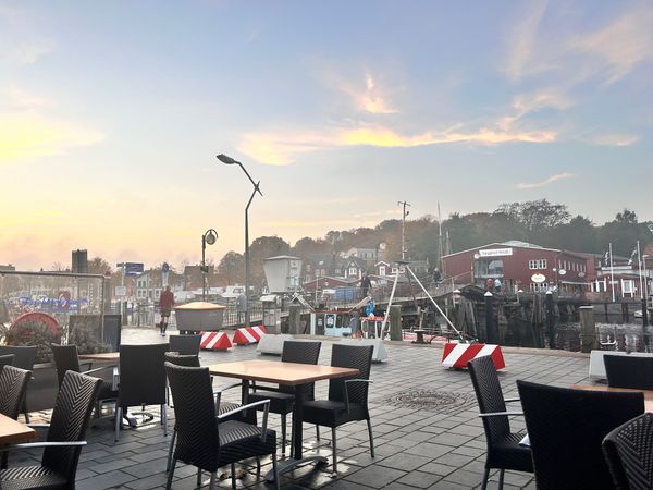 Frischer Fisch direkt vom Kutter