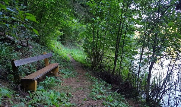 Natur pur neben dem Strand