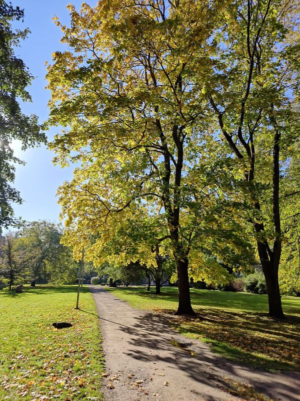 Grüne Oase mit Spielplatz