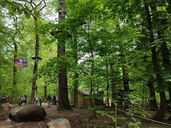 Erlebnis im Wald