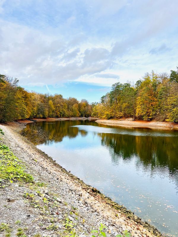 Idyllische Ruhe am Stuttgarter Gewässer