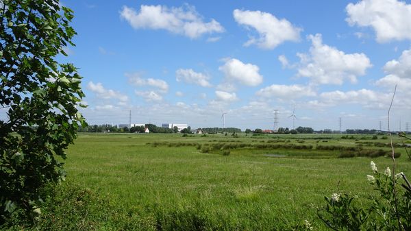 Naturerlebnis an der Küste