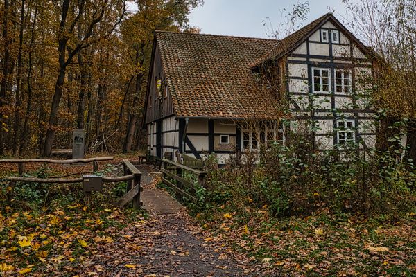 Entdecke die Naturgeschichte und lokale Fauna