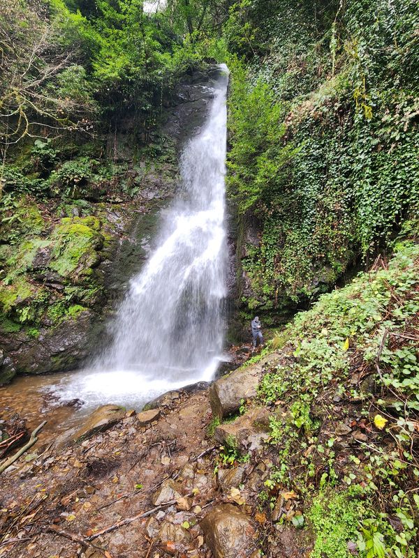 Abenteuer in Georgiens Wildnis