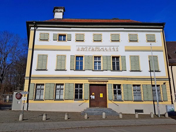 Entdecke die Naturwunder im Naturkundemuseum