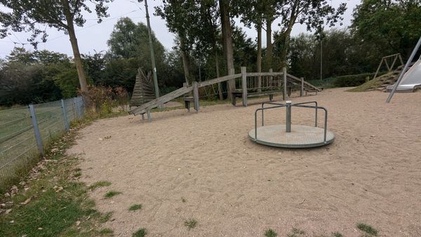 Naturwissenschaft spielerisch am Strand erleben