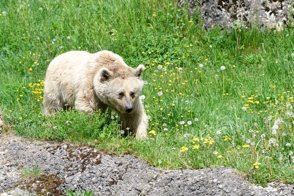 Tierschutz und Naturerlebnis