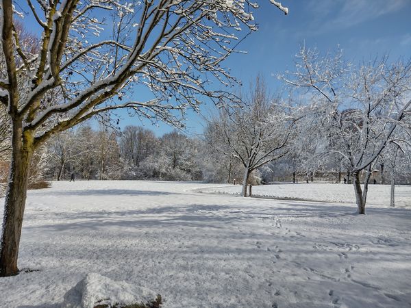 Entspannung und Natur im größten Park der Stadt