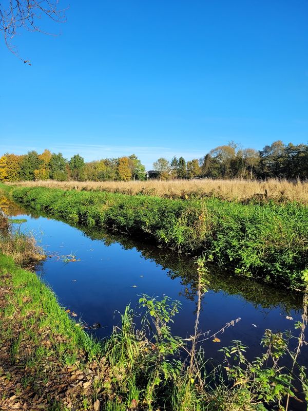 Erkunde die einzigartige Natur nahe Scharbeutz