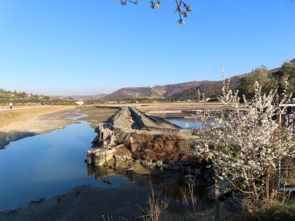 Natur pur an der Küste