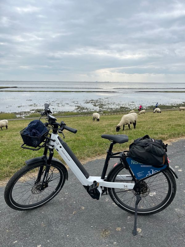 Mit E-Bike die Küste entlang radeln