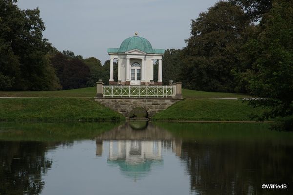 Botanische Vielfalt auf einer Insel