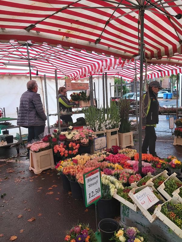 Frische regionale Produkte direkt vom Erzeuger