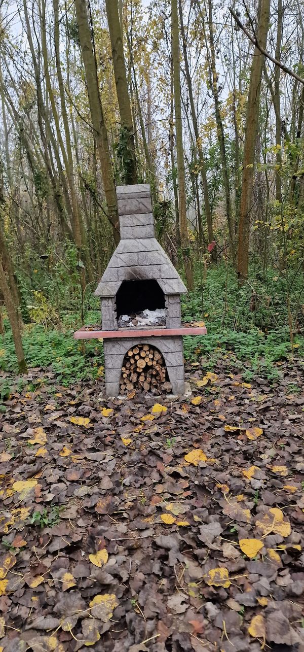 Actionreicher Spaß im Wald