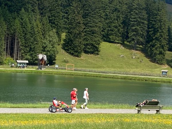 Familienabenteuer im Almenland