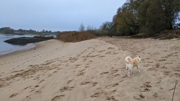 Entdecke Geesthachts verborgene Sandstrände