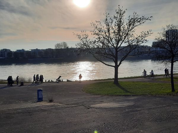 Biergarten mit Rheinblick