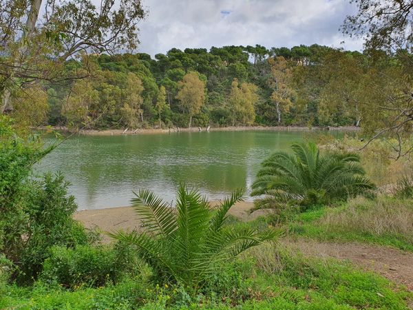 Idyllisches Picknick am Schildkrötensee