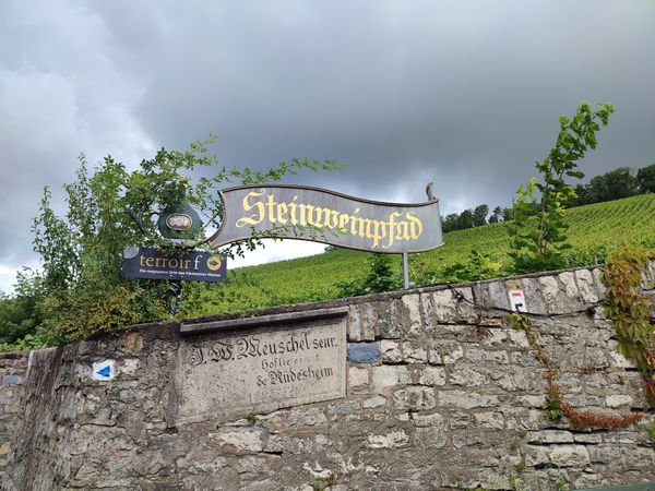 Panoramaweg durch die Weinberge