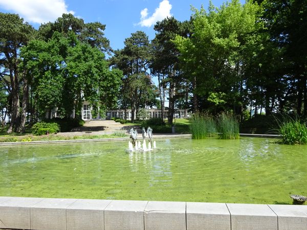 Grüne Oase der Ruhe