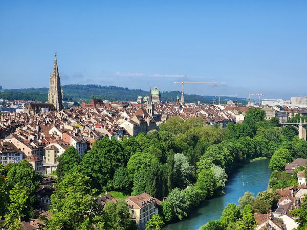 Blühende Aussichten über Bern