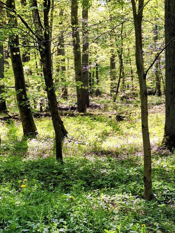 Natur pur am Stadtrand