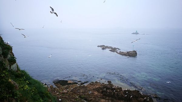 Übernachte auf einer winzigen Insel