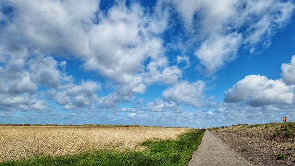 Genießt eine Radtour mit Meerblick