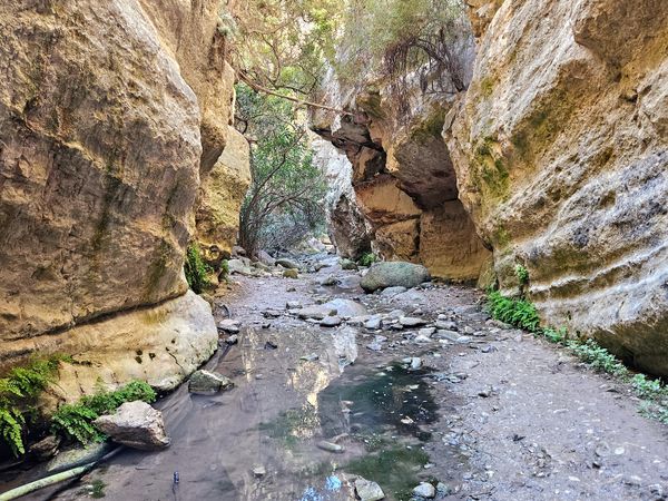 Abenteuer in wilder Natur