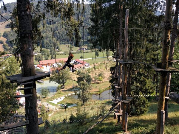 Hoch hinaus im Waldabenteuer: Kletterspaß für die ganze Familie