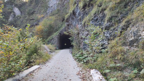 Entdeckungsreise in die größte Waldwildnis Österreichs