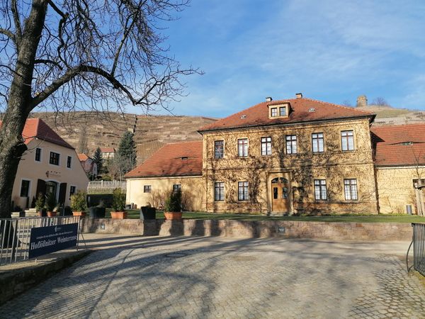 Traditioneller Weinbau erleben