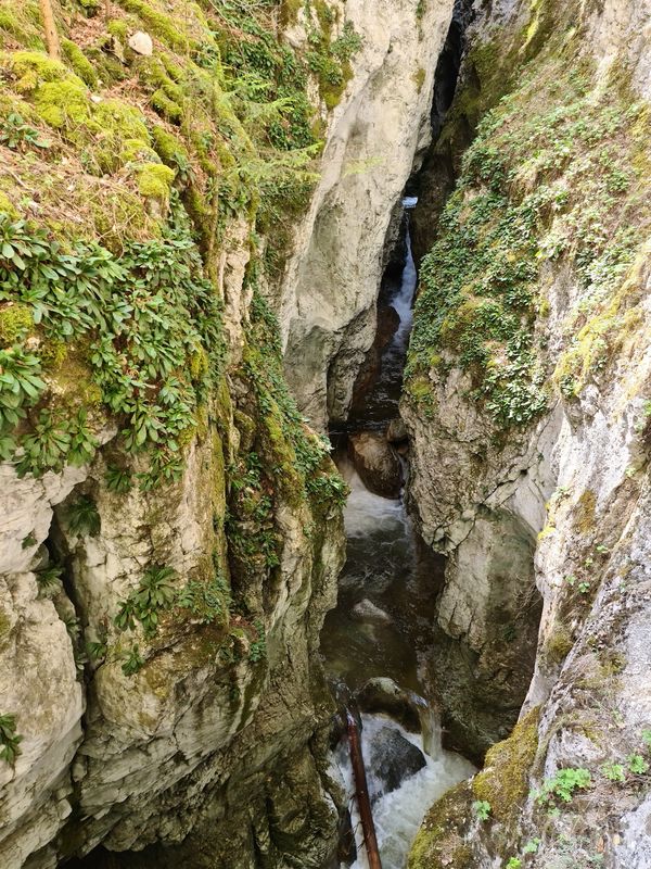 Mystische Brücke in der Natur