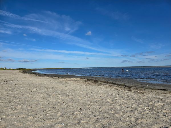 Idyllische Natur pur erleben