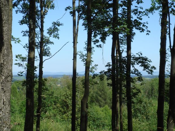 Natur pur am Stadtrand