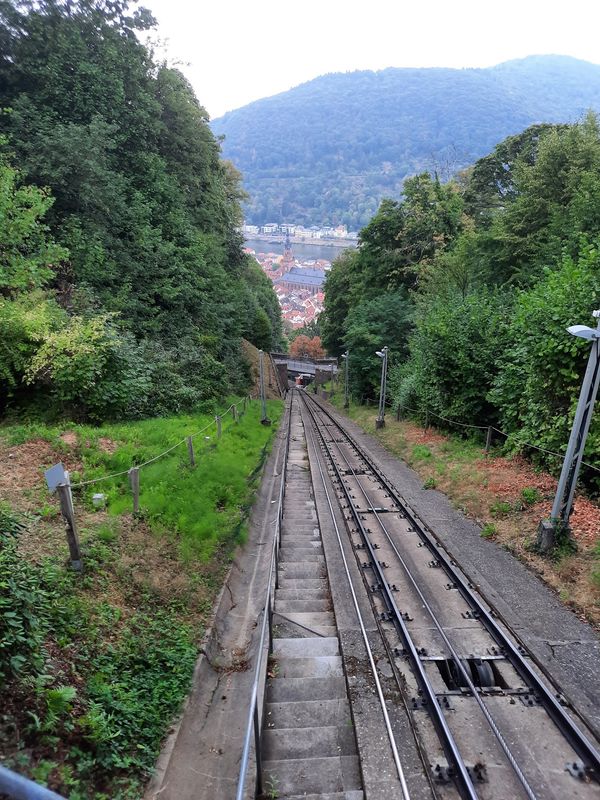 Abenteuer über den Dächern der Stadt