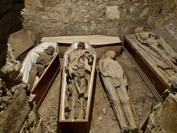 Erkunde geheimnisvolle Mumien unter Dublin