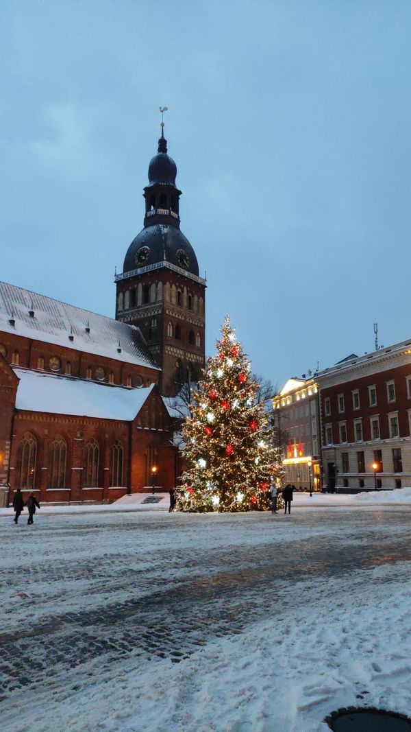 Himmlische Klänge im Dom