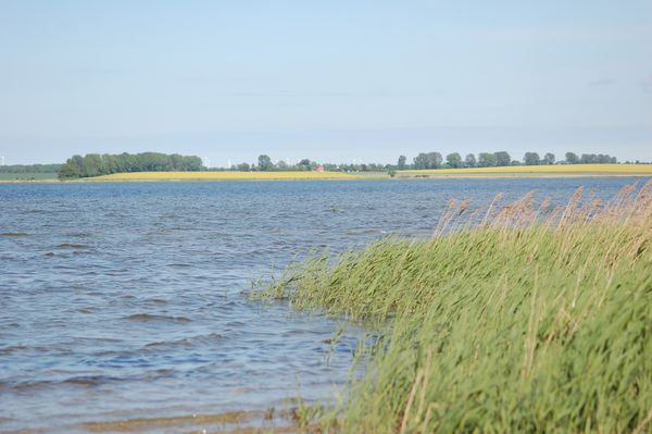 Naturerlebnis am Wasser
