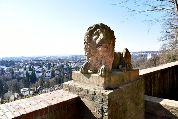 Aussicht genießen & Natur erkunden