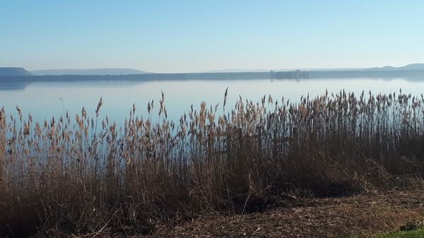 Ruhe & Aussicht am Steg Mardorf genießen